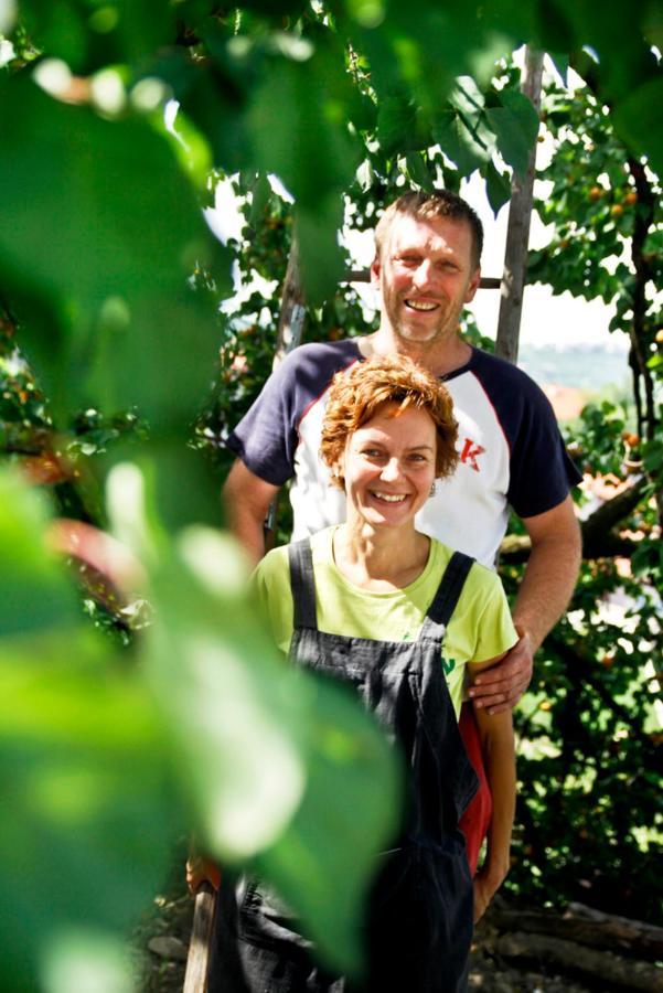 Farmstay Kmetija Stekar Kojsko Zewnętrze zdjęcie
