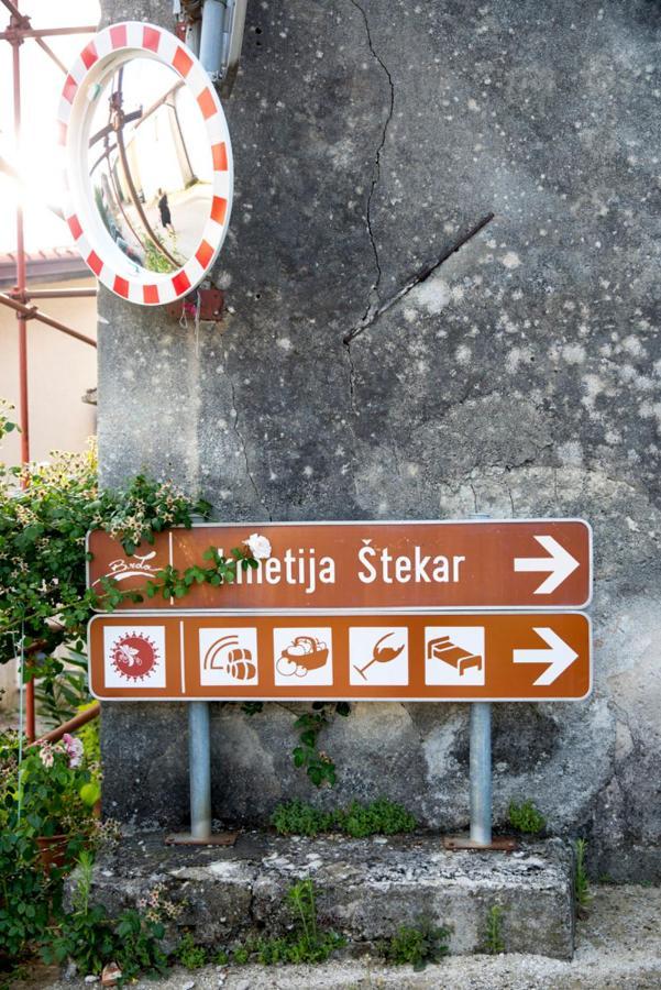 Farmstay Kmetija Stekar Kojsko Zewnętrze zdjęcie