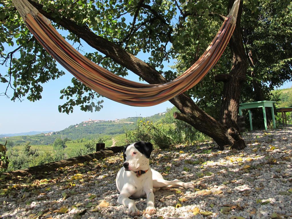 Farmstay Kmetija Stekar Kojsko Zewnętrze zdjęcie