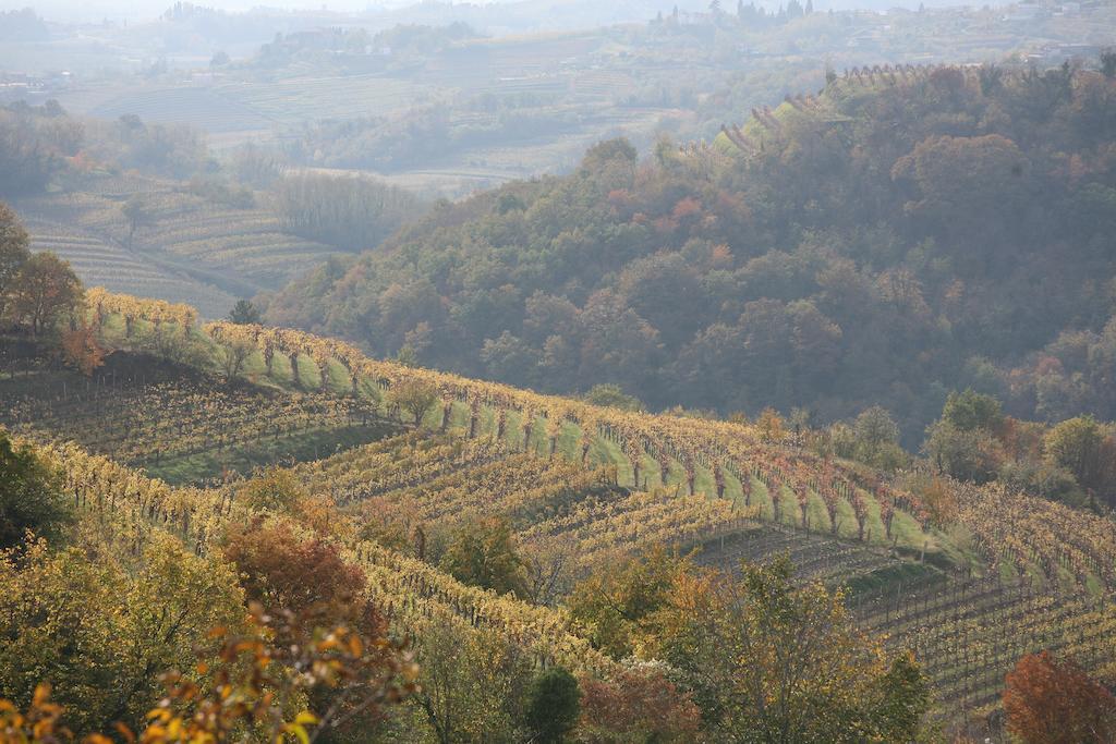 Farmstay Kmetija Stekar Kojsko Zewnętrze zdjęcie